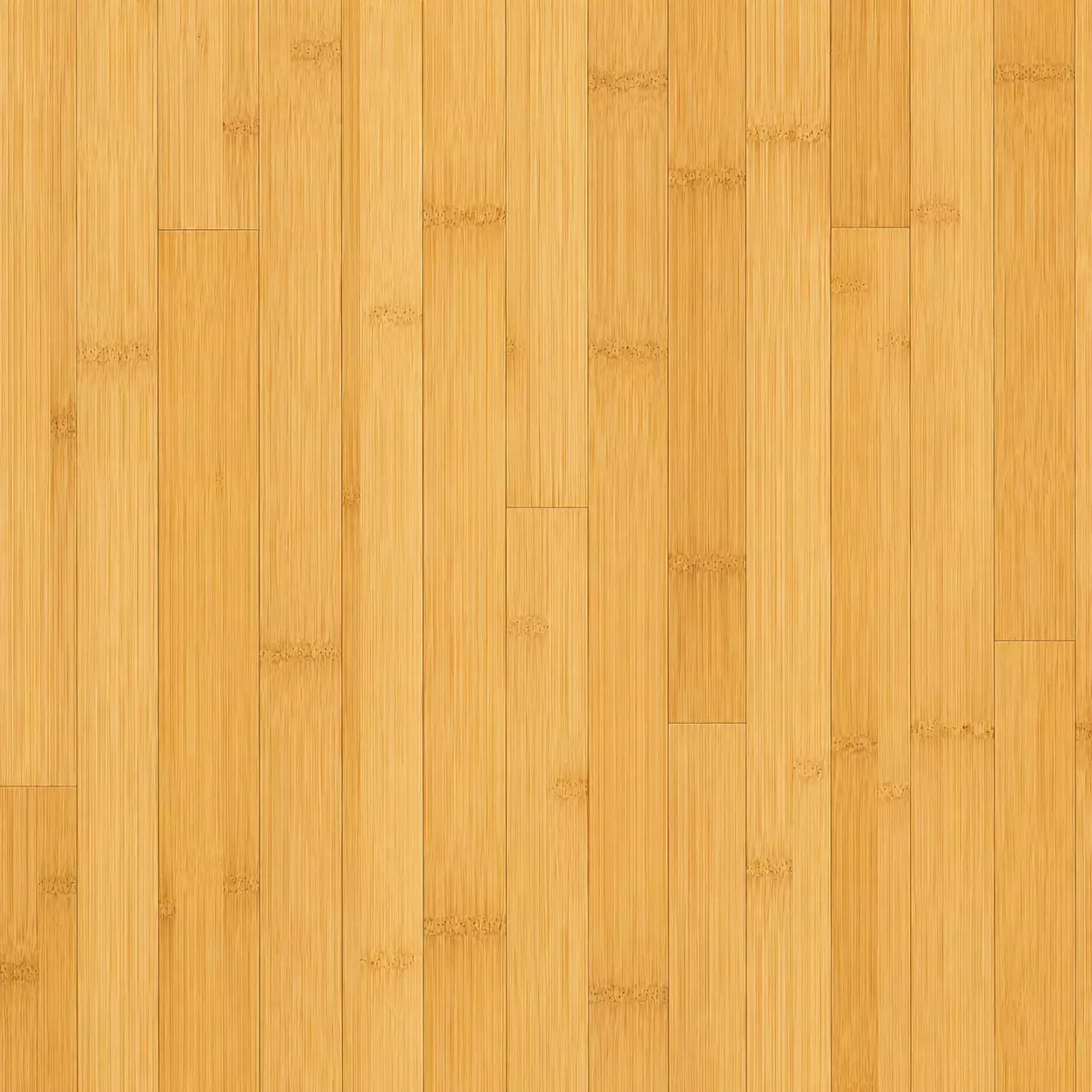 Bamboo